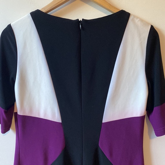 Joseph Ribkoff Dress - Picture 5 of 7